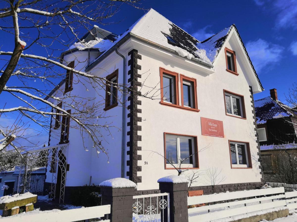 Villa Kopp-Das Gaestehaus Hopfingen Eksteriør billede
